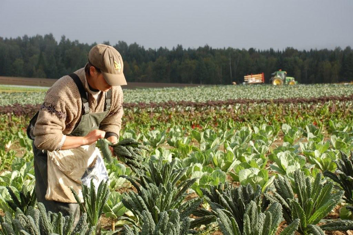 Terroir Local Cantons de l'Est Estrie