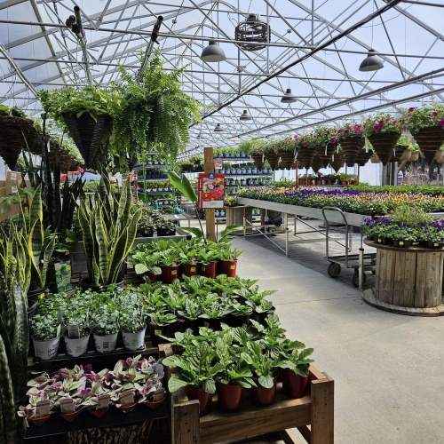 Centre Jardin Dansereau